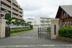 白水小学校