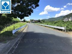 現地（2022年8月22日）撮影