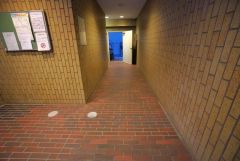 掃除が行き届いたエントランスホール。