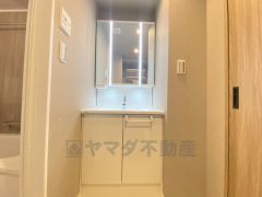 三面鏡裏収納付き洗面化粧台です＾＾