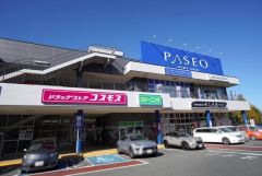 ディスカウントドラッグコスモス　パセオ店