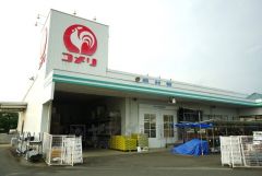 コメリ　ハード&グリーン三輪店