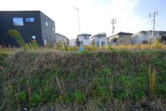 敷地面積約50坪のゆとりある区画＾＾大型分譲地内の綺麗な街並み＾＾