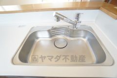 広々とした凸型シンクに洗剤ポケットを標準装備。大きなお鍋など洗いやすいです。