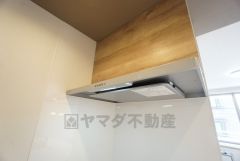 スタイリッシュなレンジフード＾＾調理中に出る湯気や油分などを効率よく外に逃がしてくれます。