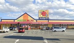 ドラッグストアモリ　三潴店