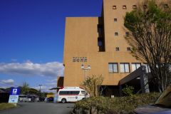 やよいがおか鹿毛病院