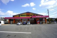 ドラッグストアモリ　美しが丘店