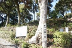 和田宝満公園