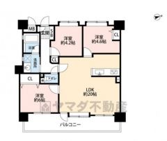 南東向き3LDK。LDKは約20帖の広々とした空間＾＾ 食器洗浄乾燥機付きシステムキッチン、全居室収納スペースあり＾＾