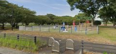 緑とスポーツのふれあい広場
