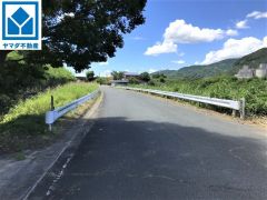 現地（2022年8月22日）撮影