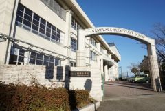 柏原小学校