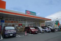 ドラッグセガミ　福岡空港南店