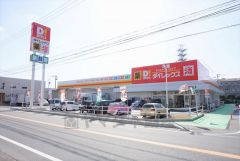 ダイレックス　志免店