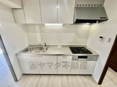 使い勝手が良さそうなシステムキッチン。