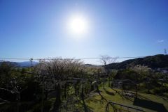 バルコニーからの眺望です＾＾すぐ隣が公園。桜の木があり、春にはバルコニーからのお花見もできそうです＾＾