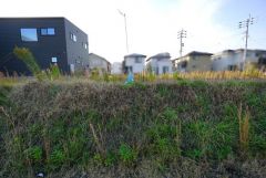 敷地面積約50坪のゆとりある区画＾＾大型分譲地内の綺麗な街並み＾＾