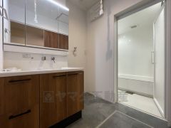 ランドリースペースと脱衣スペースです。