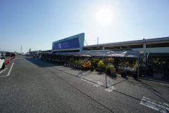 ナフコ　鳥栖店