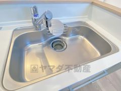 洗い物がしやすそうなシンク。