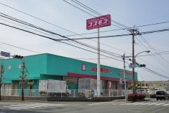 ディスカウントドラッグコスモス　白水ヶ丘店