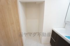洗面所横に階段下スペースを有効活用した収納があります。棚を設置すれば日用品のストックルームとして使えそうです。