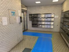 清掃の行き届いたきれいなエントランス。