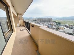 陽当たりの良いバルコニーです。お洗濯やお布団干しはもちろん、日光浴スペースにも＾＾角部屋ならではの開放感。