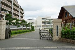 白水小学校