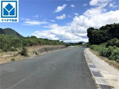 現地（2022年8月22日）撮影