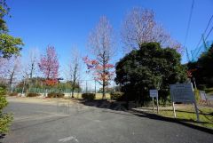 柏原中央公園
