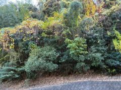 バルコ二ーからの眺望です＾＾