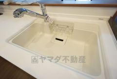 洗い物がしやすそうなシンク。