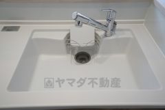 広々とした凸型シンクに洗剤ポケットを標準装備。大きなお鍋など洗いやすいです。洗剤や石鹸、スポンジもすっきりできる収納付き。