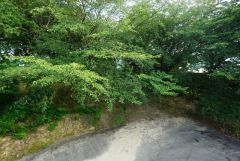 バルコニーからの眺望です＾＾