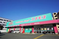 ディスカウントドラッグコスモス　神松寺店