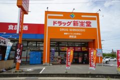 ドラッグ新生堂昇町店