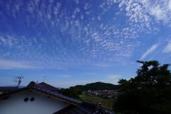目の前に日差しを遮る建物がないので、日当たり＆風通し良好です＾＾心地よい自然の光や風を感じることができ、ほどよく開放感のある空間がつくれます。