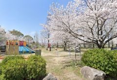 城山公園
