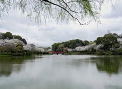 甘木公園