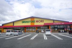 ドラッグストアモリ　上峰店