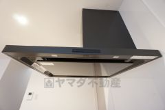 レンジフードは薄型タイプでスッキリみえますね＾＾