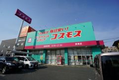 ディスカウントドラッグコスモス　長尾店